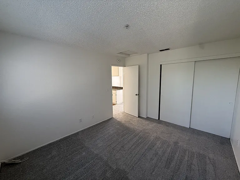 Plumwood Apartments — Photo 4