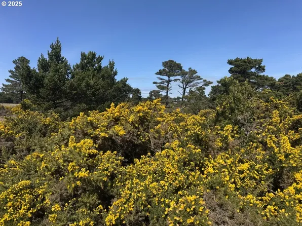 Jackson Rd, Bandon, OR 97411