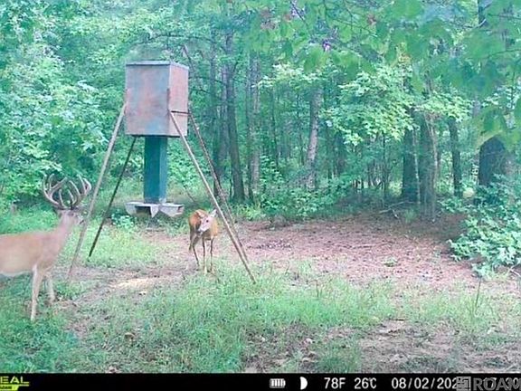 3rd image of 655 Oil Well Rd