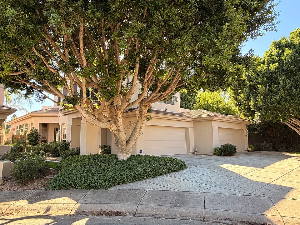 Driveway and front entryway