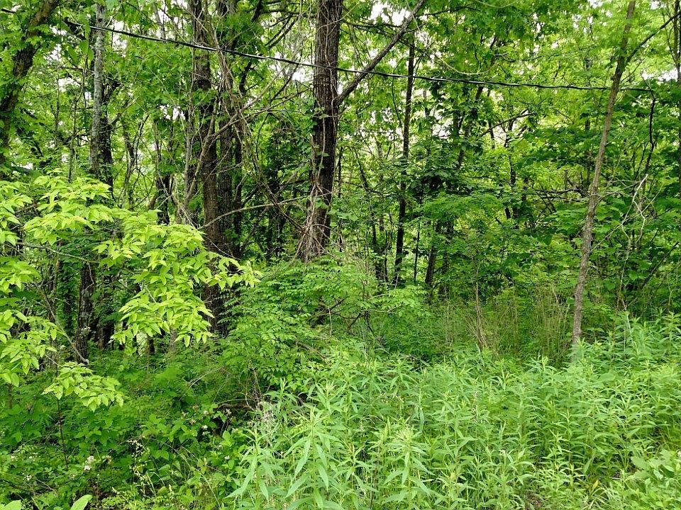 2nd image of 1098 Cornish Ln