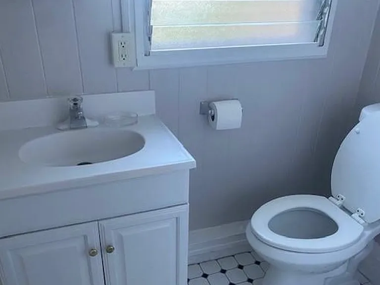 downstairs bathroom (shower not visible here)