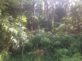 LOT 29 Lot 29, Volcano, HI 96785