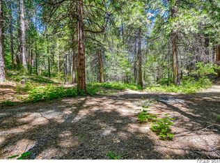 1172 Laurel Cir, Arnold, CA 95223