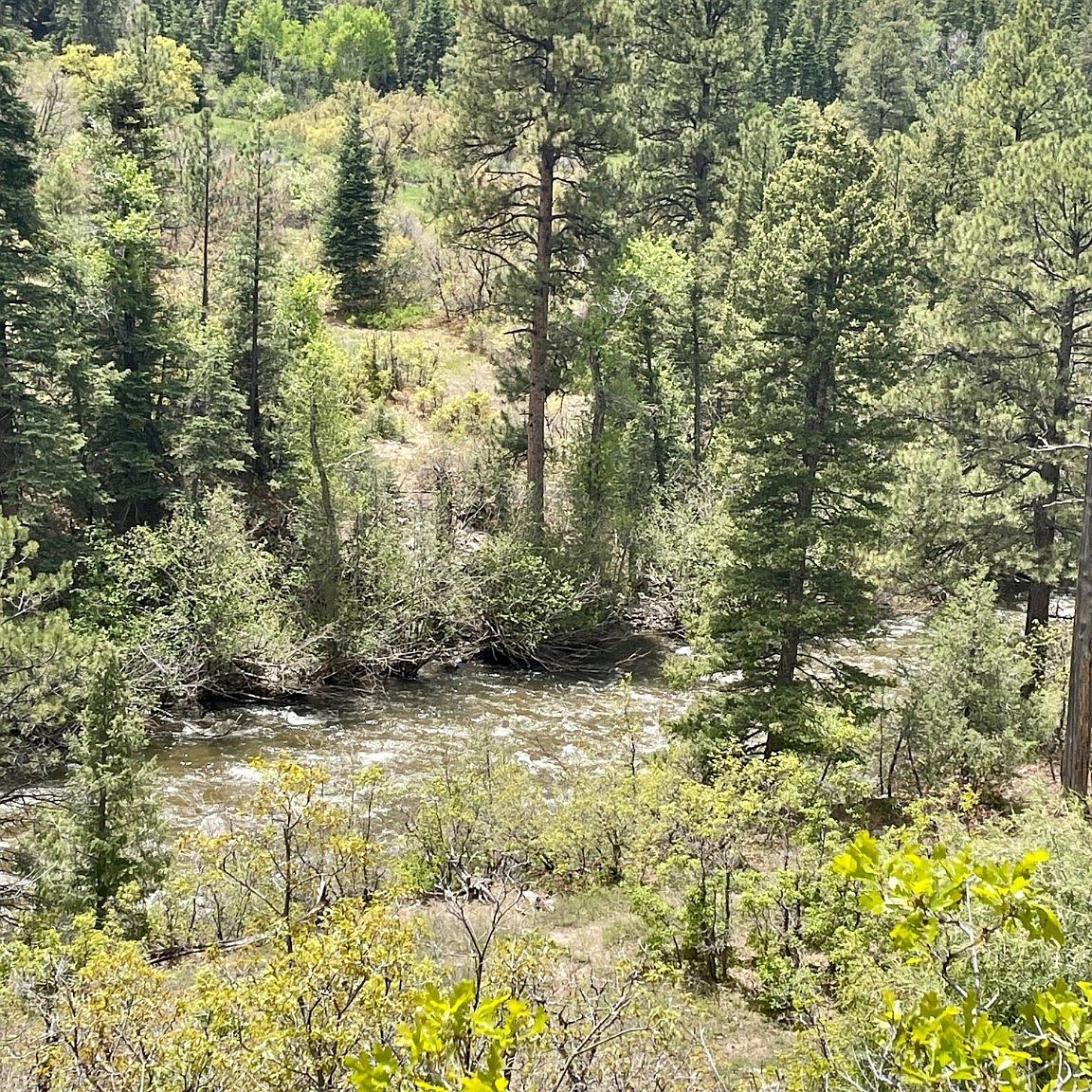 Highway 512, Tierra Amarilla, NM 87575 Zillow