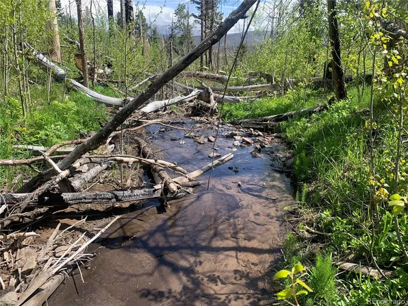 834 HUNTINGTON Lane, Fort Garland, CO 81134