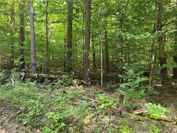 1 George Hill Rd, Glenfield, NY 13343
