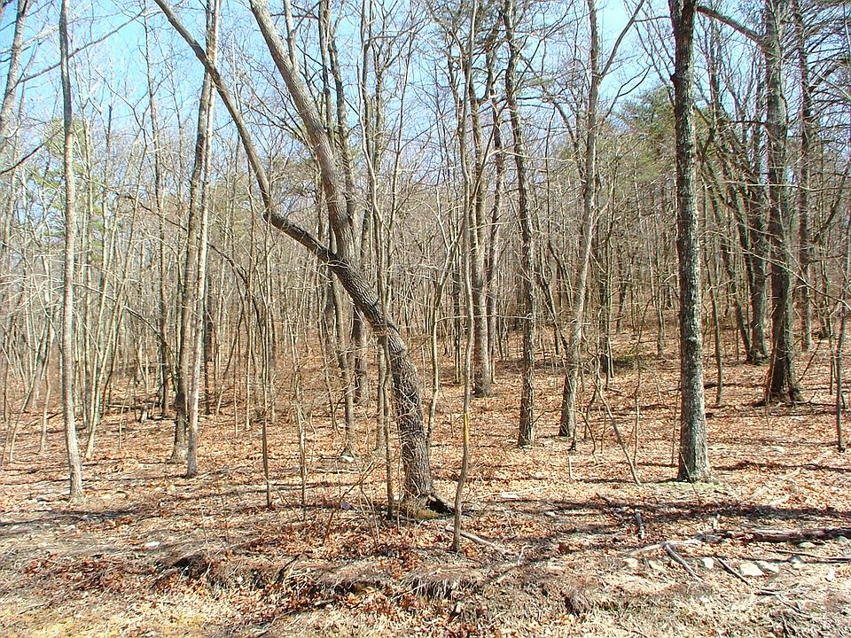 1st image of 5 Forester Overlook #46-00-FO5