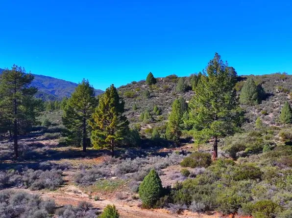 1 Butterfly Peak Rd, Mountain Center, CA 92561