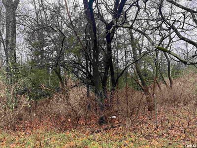 2975 Eagle Point Bay Rd, Goreville, IL, 62939
