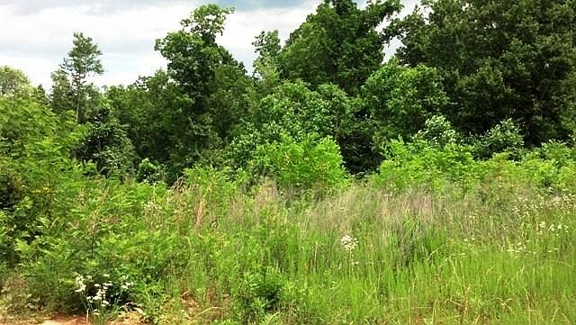 2nd image of LOT 12 Windy Creek Dr