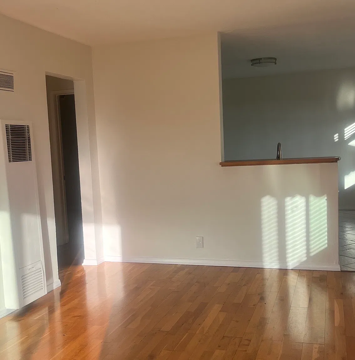 33802 Colegio Dr — Photo 4