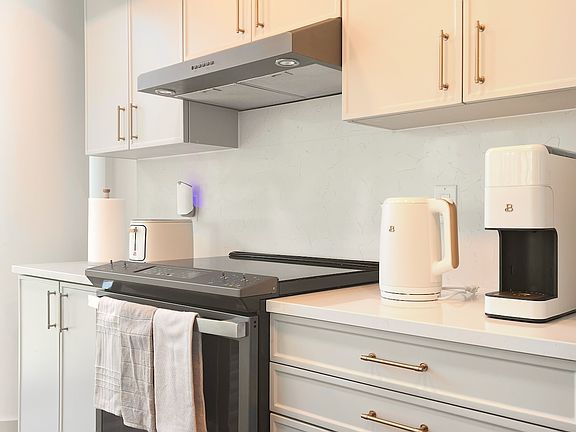 Chef kitchen with aesthetic cabinets and appliances