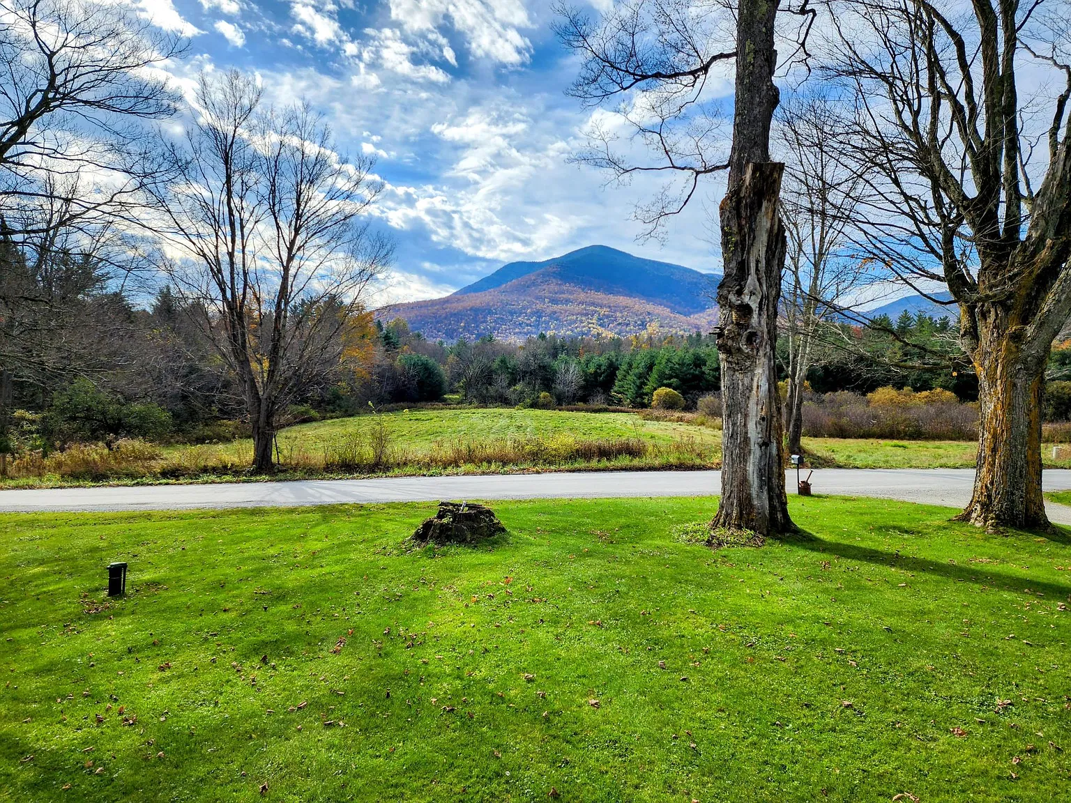 2 bed, 1.5 bath, 1000 sqft, $2,500 — Photo 2