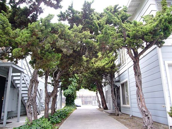 Canopied walkway