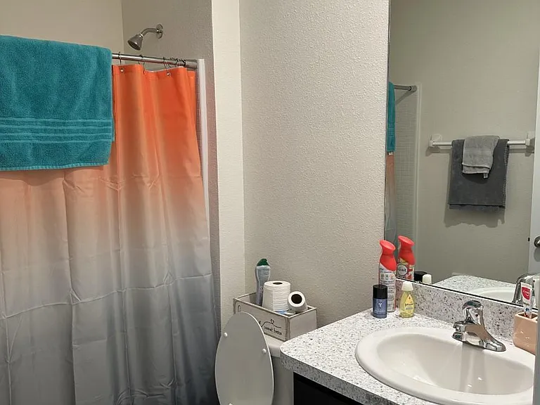 34106 Sorrel Mint Dr — Photo 11