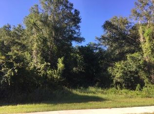 16928 Parsonage Lake Ln, Odessa, FL 33556