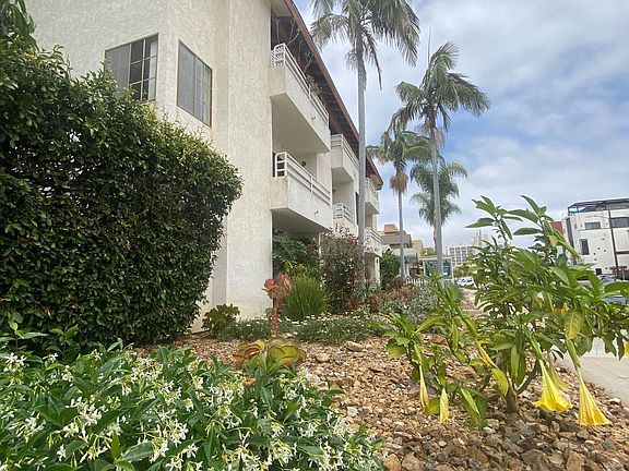 4th image of 4042 Albatross St #7