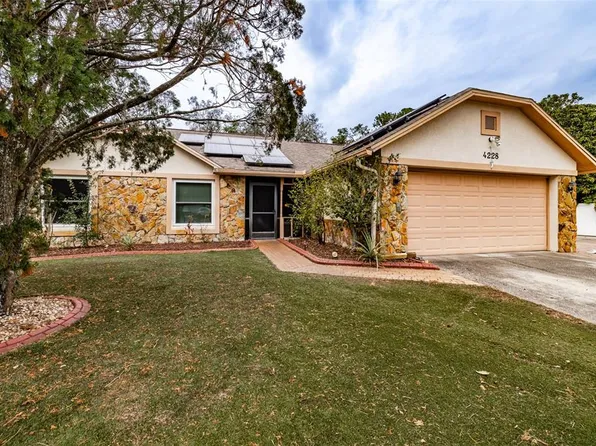 4228 Spring Way Cir, Valrico, FL 33596