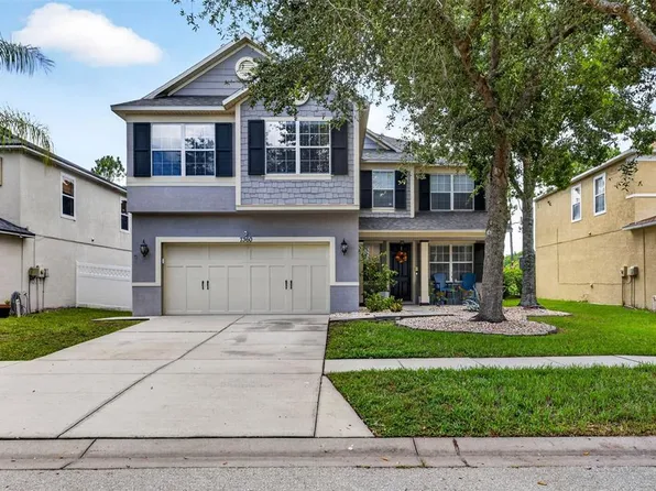 7360 Bridgeview Dr, Wesley Chapel, FL 33545