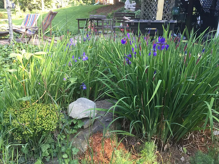 77 Rowell Rd E — Photo 12