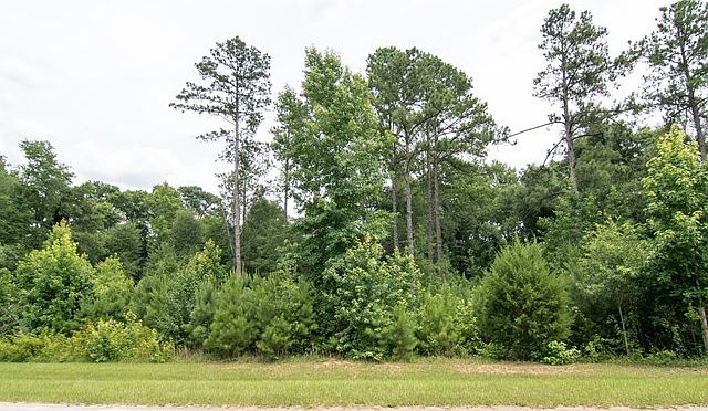1st image of 106 Bayberry Ct