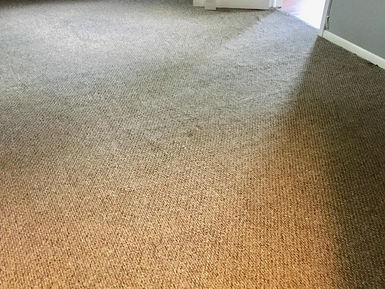 801 Lincoln St #2R — Photo 4