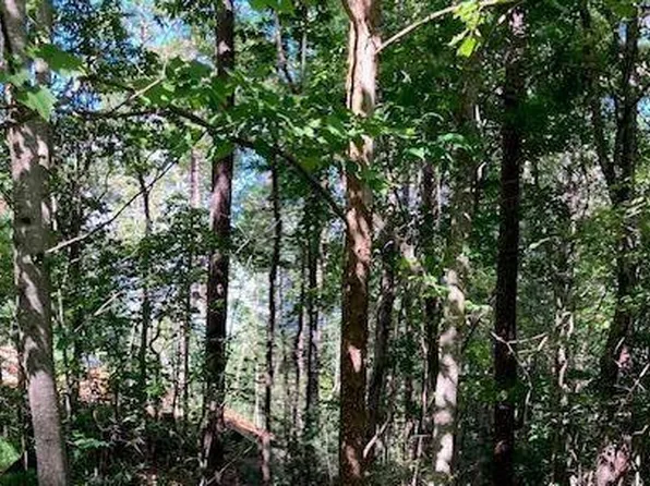 140 E Red Oak Trl, Ellijay, GA 30540