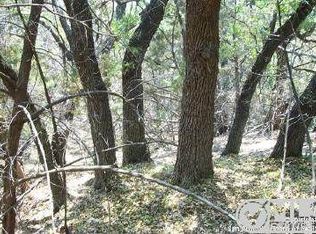 223 Assiniboia Dr, Canyon Lake, TX 78133