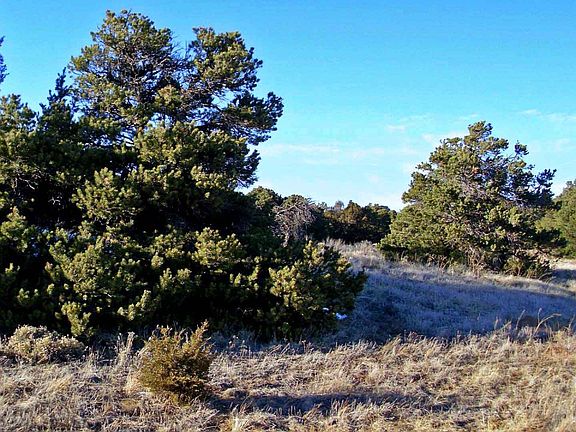 3rd image of LOT 49 Navajo Ranch Resorts Filing 2 Lot 49