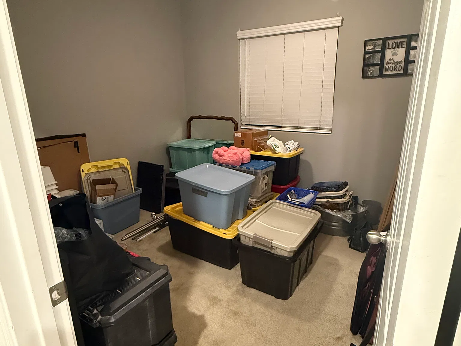 2 bed, 700 sqft, $1,595 — Photo 4