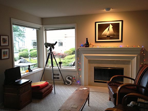 Living Room Fireplace