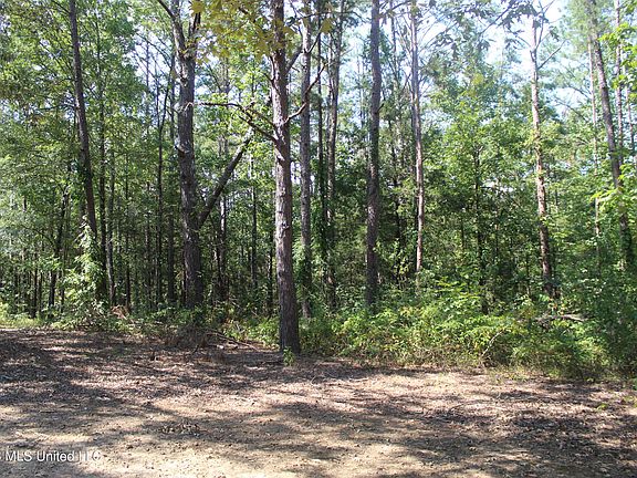 5th image of 48 County Road 6071
