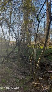N Patton Ave, Rockwood, TN, 37854