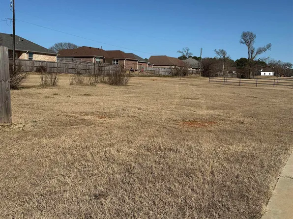 399 Maji Rd, Whitehouse, TX 75791