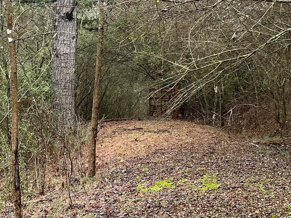 (undisclosed Address), Bee Branch, AR 72013