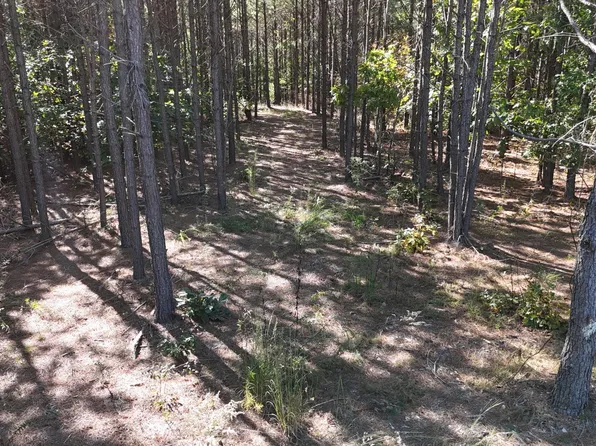 111 Hillbrook Dr Lot 77, Hohenwald, TN 38462