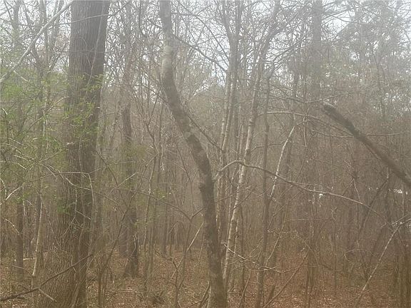 4th image of 5221 Sandy Shores Ct Lot 22