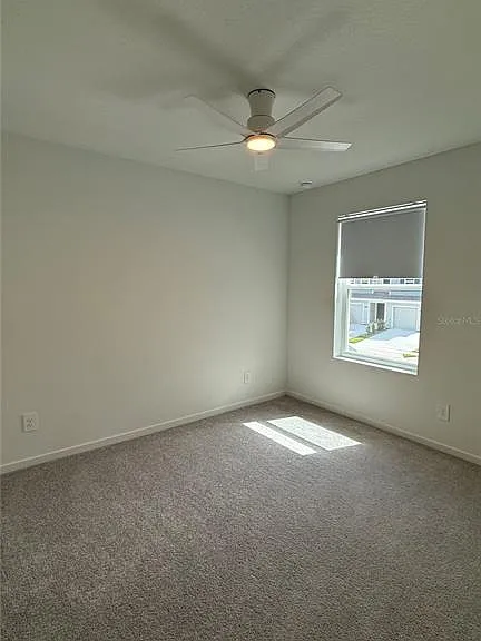831 Lynx — Photo 17