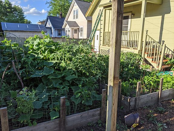The raised beds when the cucumber was taking over the world. These get full full sun even though this bad photo doesn't show it well ;)