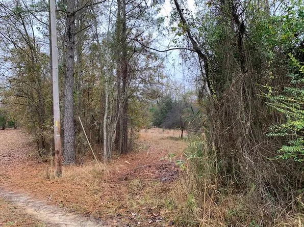 1861 Grassview Ln, Orangeburg, SC 29118