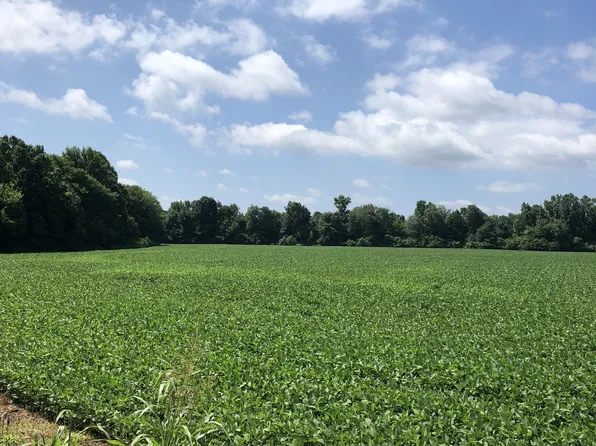 0 Duncan Rd, Manchester, TN 37355