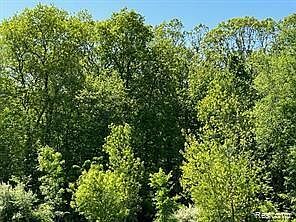 1st image of 0 Hidden Lake Trl