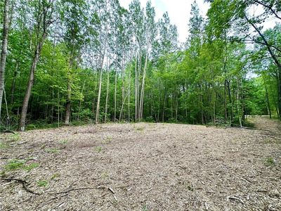 27888 290th Avenue, Holcombe, WI, 54745