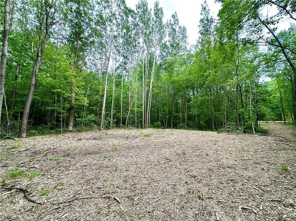 27888 290th Avenue, Holcombe, WI 54745