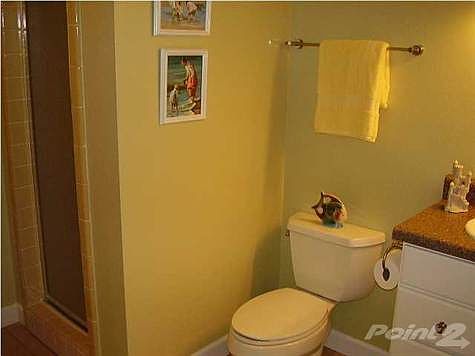 3rd image of 12960 Seratine Dr