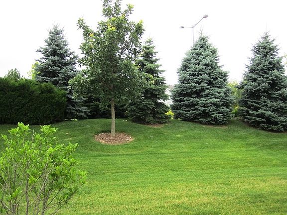 3rd image of 2119 Highbury Ln