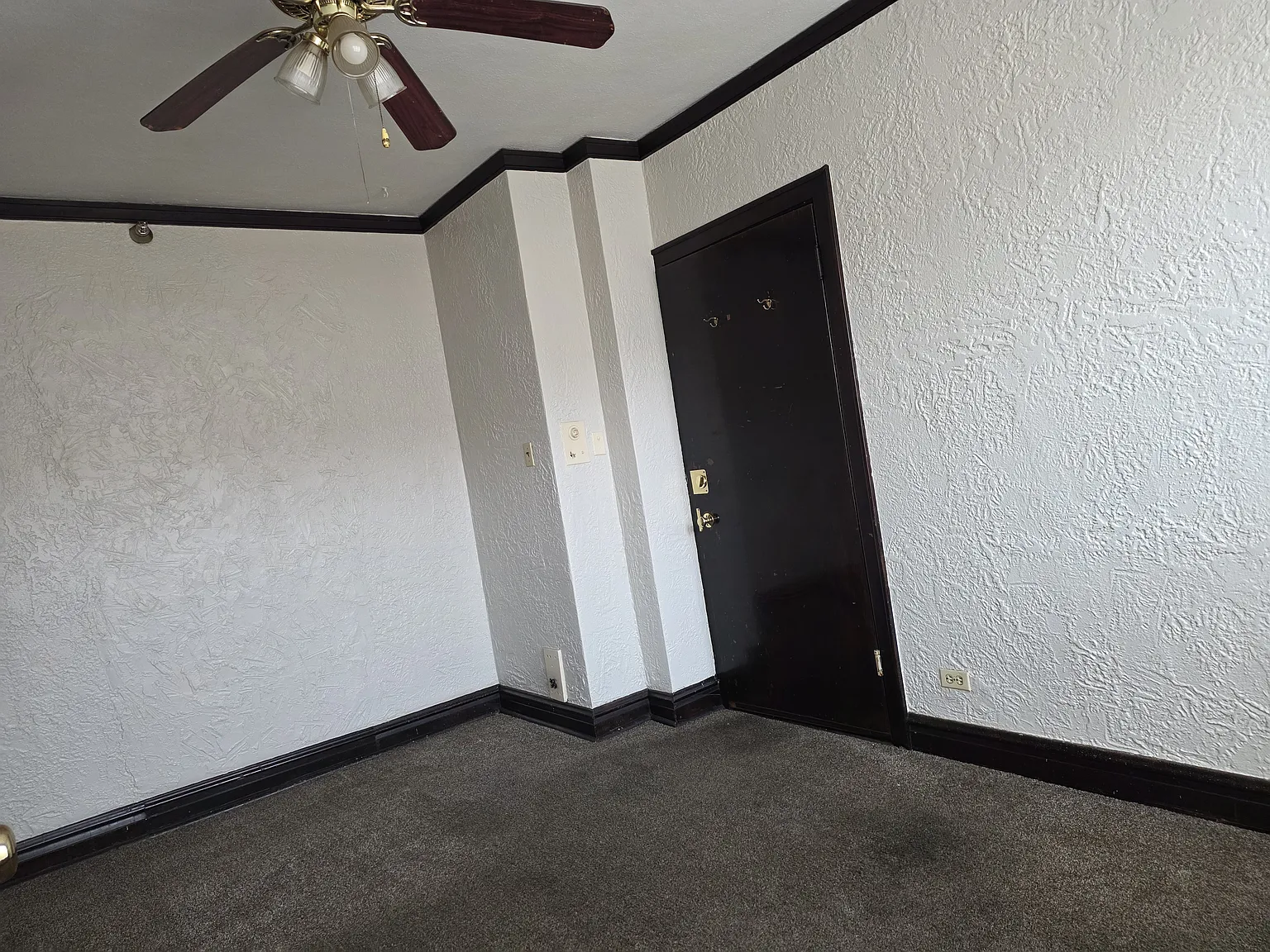 Studio, 250 sqft, $785 — Photo 3