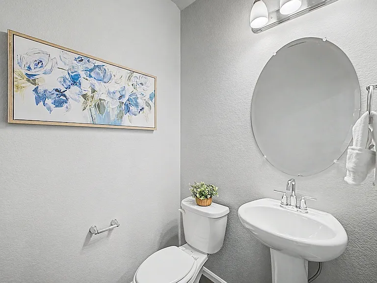 Downstairs half bathroom