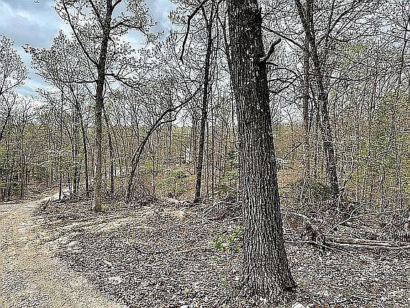 3rd image of 0 Stone Ridge Rd